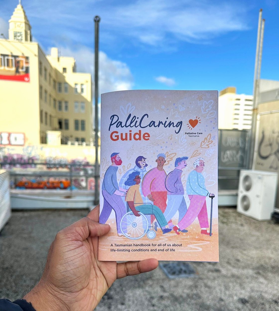 Pallicaring guide book